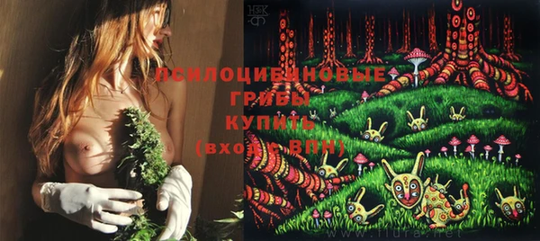 стафф Алексин