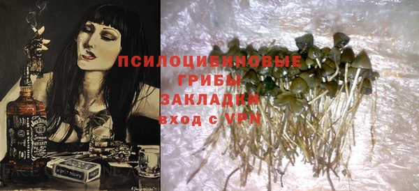 амф Абинск