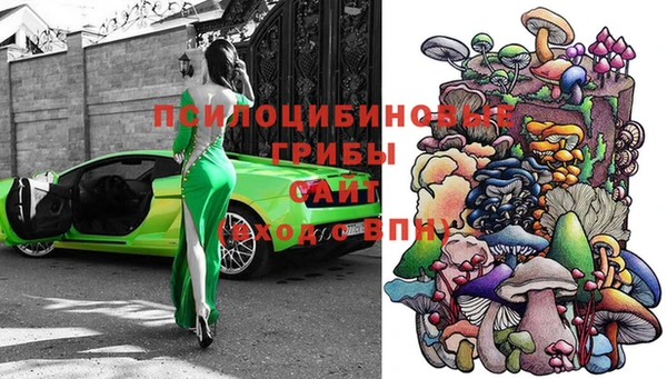 не бодяженный Абаза
