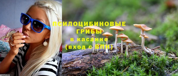 сатива Абдулино